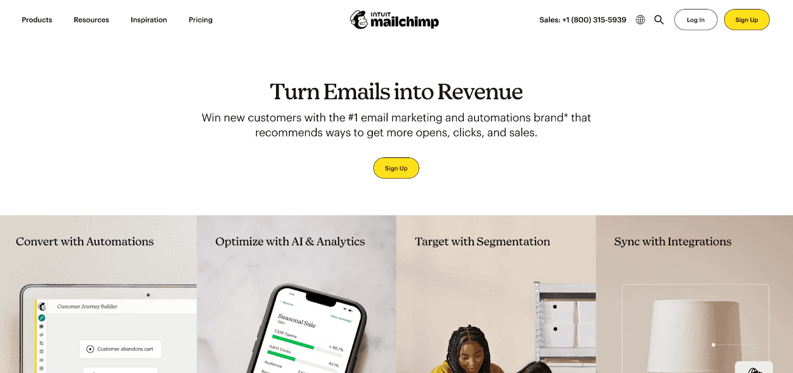 MailChimp visual identity example